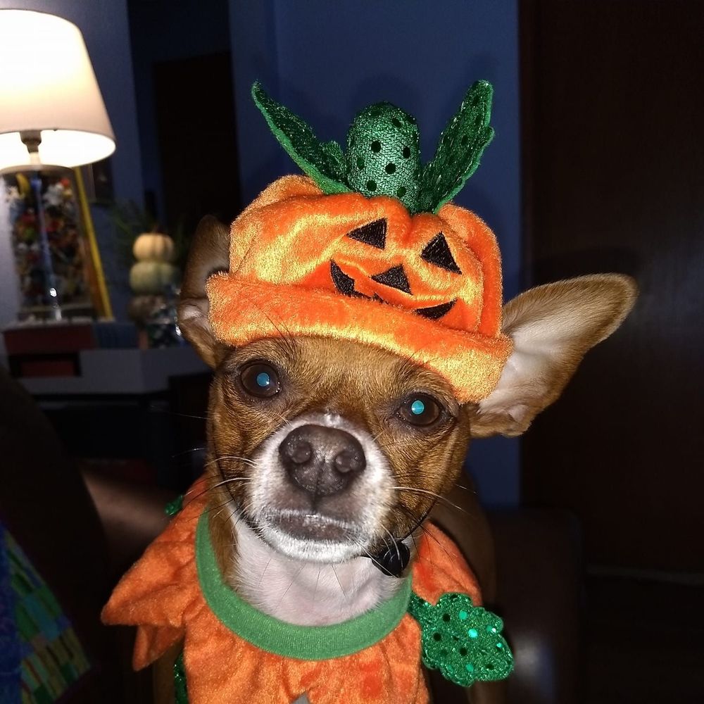 Meet your Posher, Kimberly kropacek